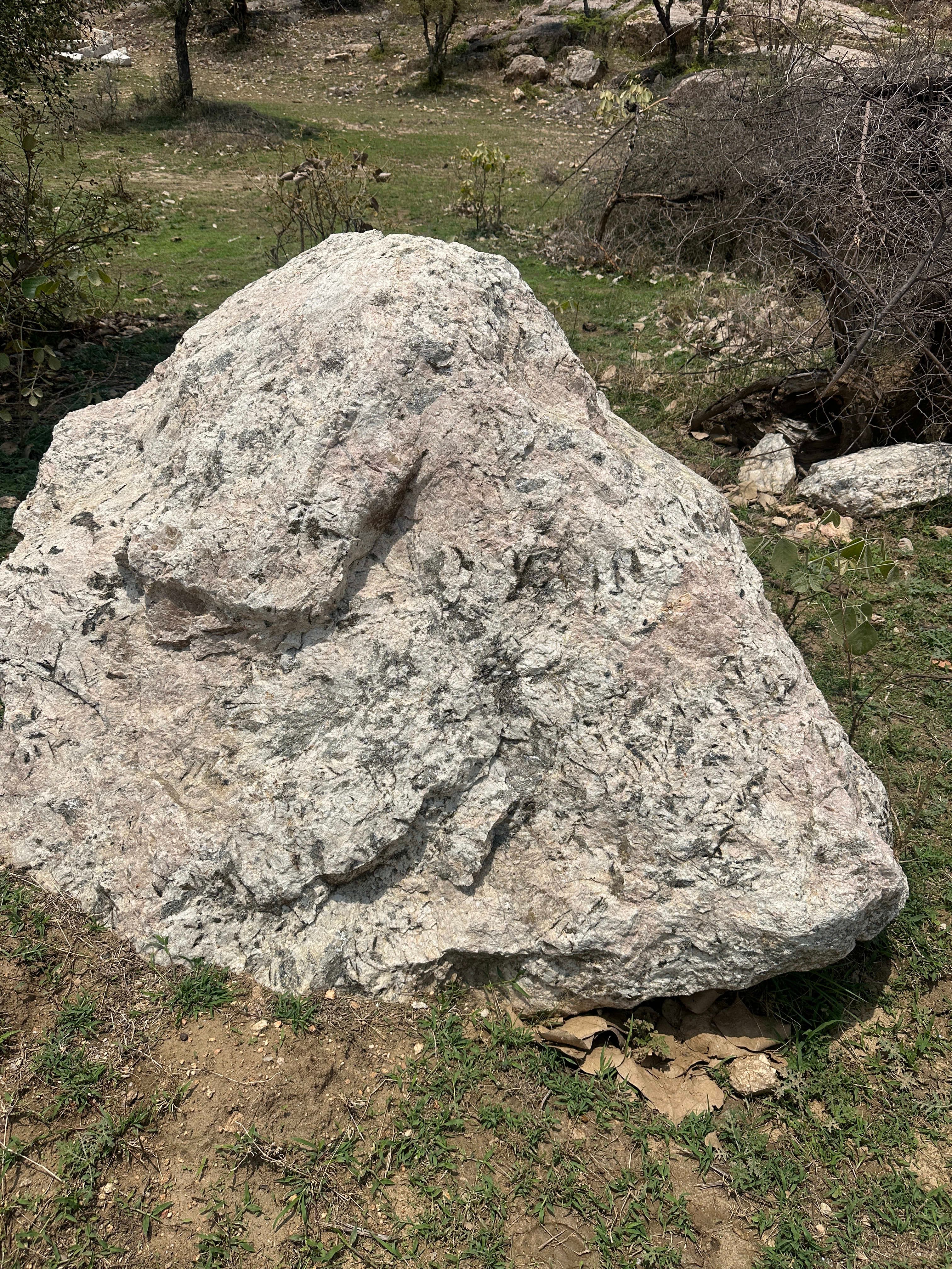 Rosy White Boulder - alternate view