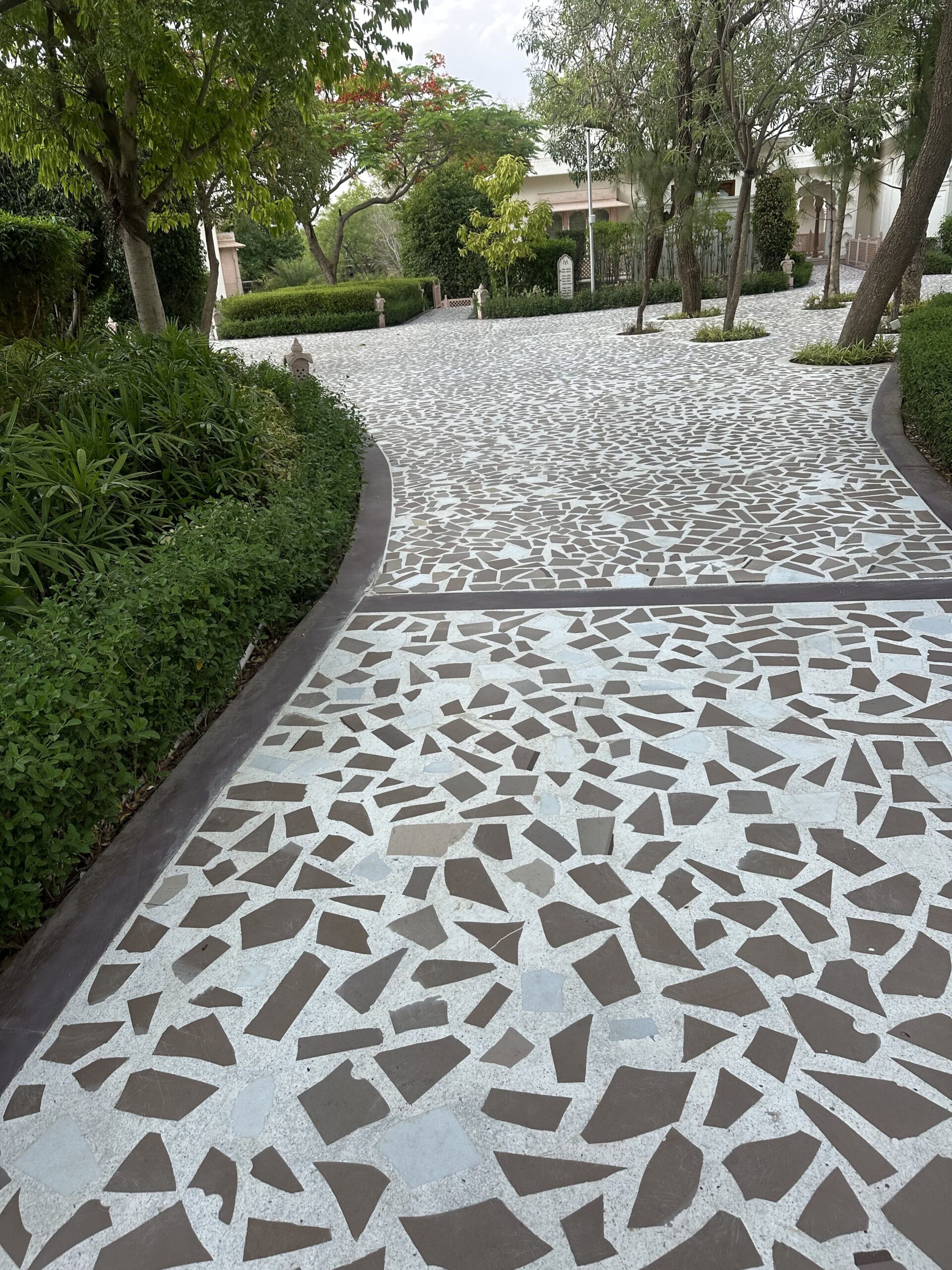 CHOCOLATE SMALL CRAZY - Image 3