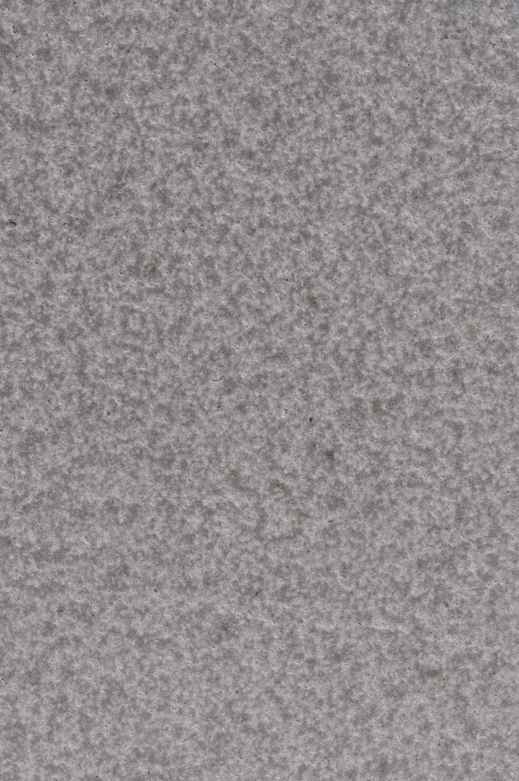 KANDLA GREY SHOTBRUSH - Image 2