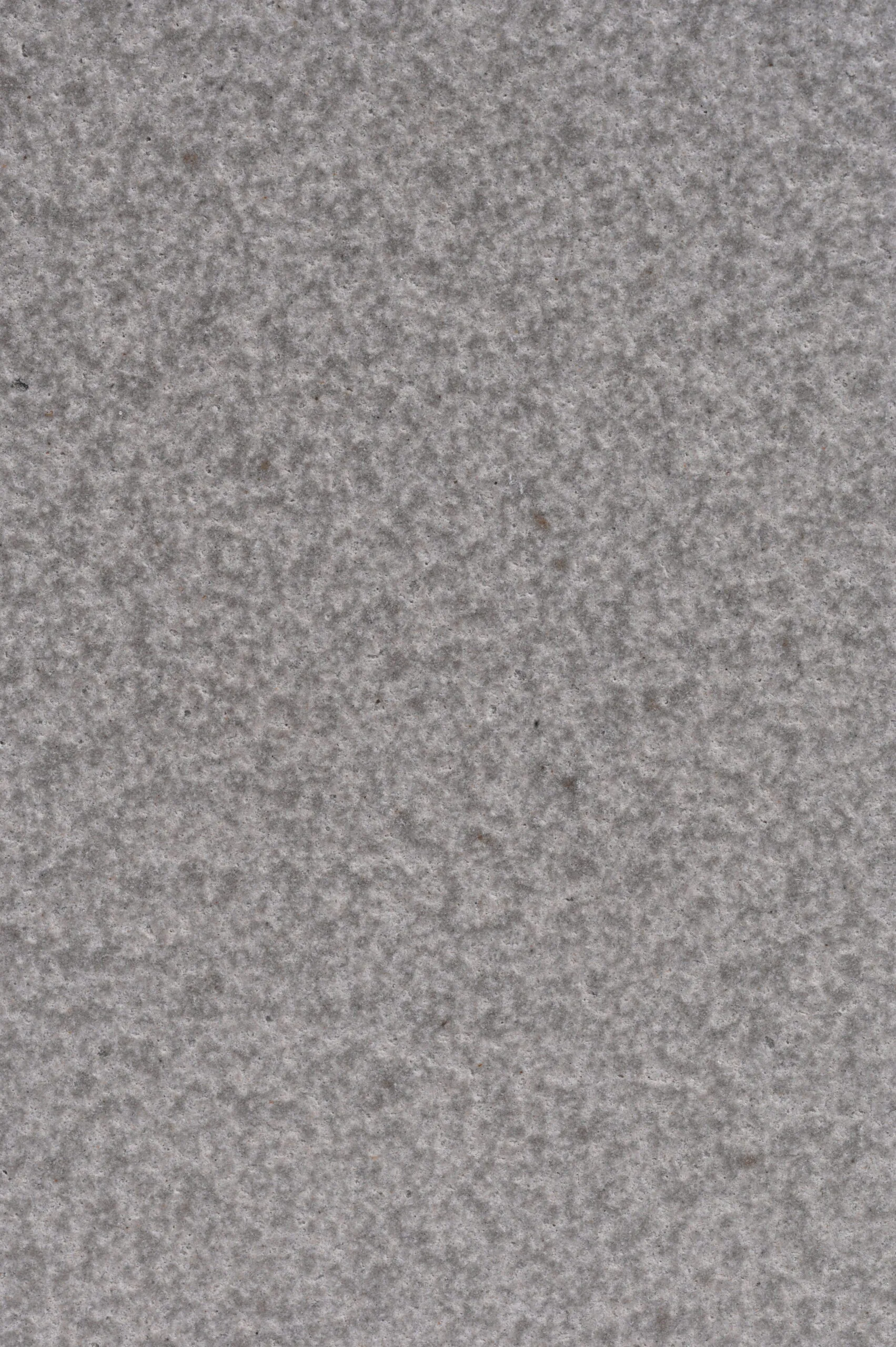 KANDLA GREY SHOTBRUSH - Image 2